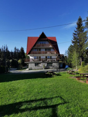 Willa Senator, Zakopane